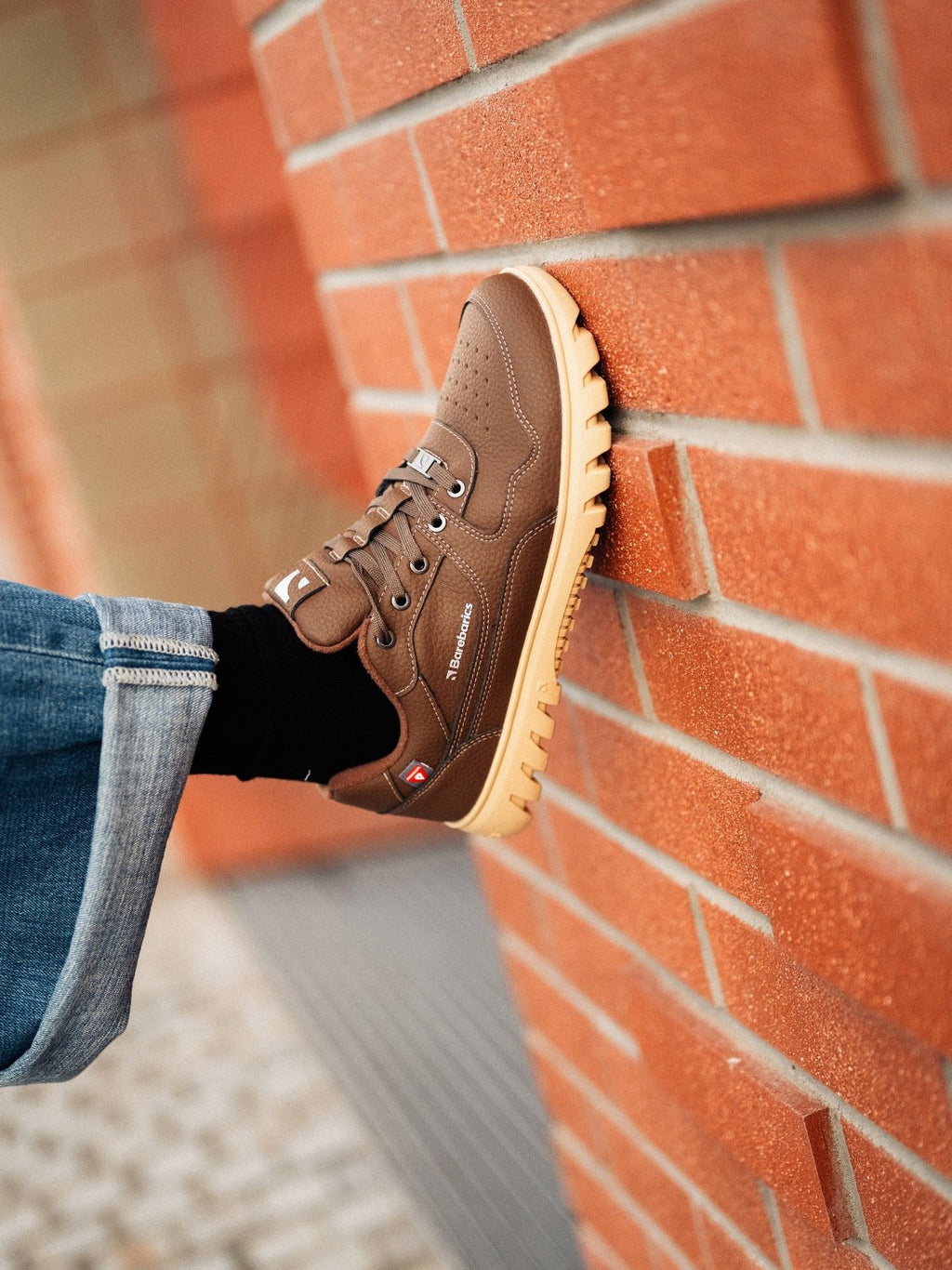 Barefoot Sneakers Barebarics Zing Frost - Dark Brown - Barefoot Shoe Store