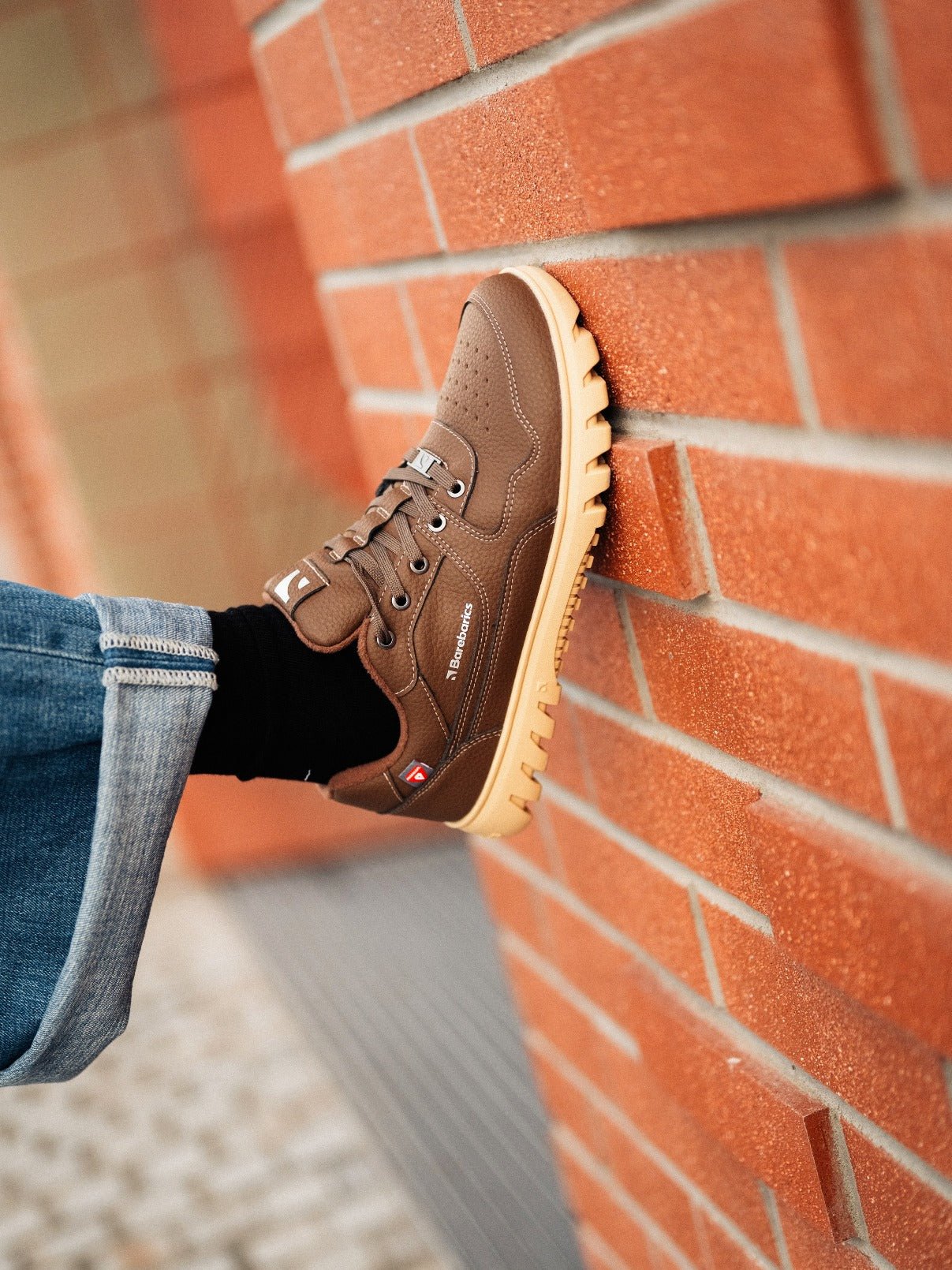 Barefoot Sneakers Barebarics Zing Frost - Dark Brown - Barefoot Shoe Store