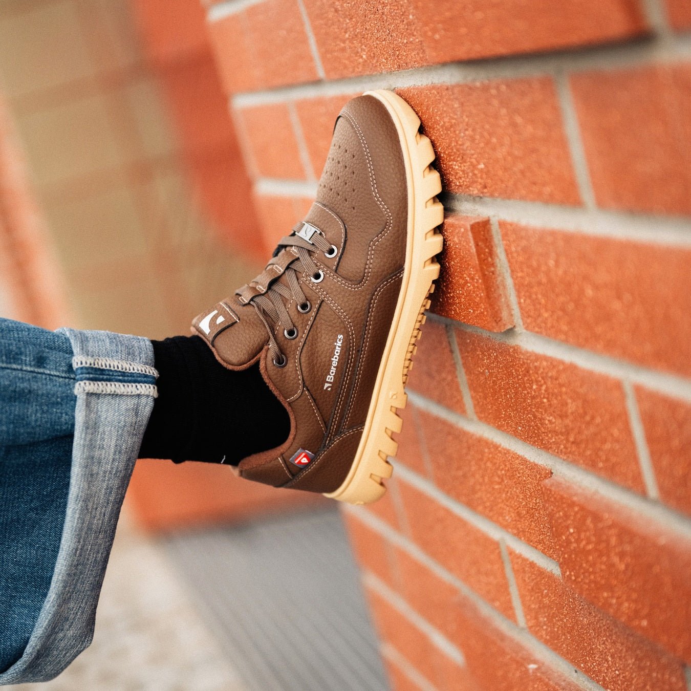 Barefoot Sneakers Barebarics Zing Frost - Dark Brown - Barefoot Shoe Store