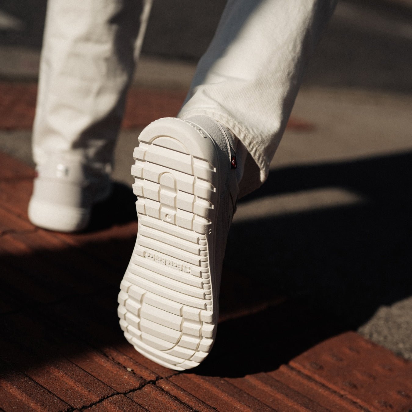 Barefoot Sneakers Barebarics Zing Frost - Light Grey & White - Barefoot Shoe Store