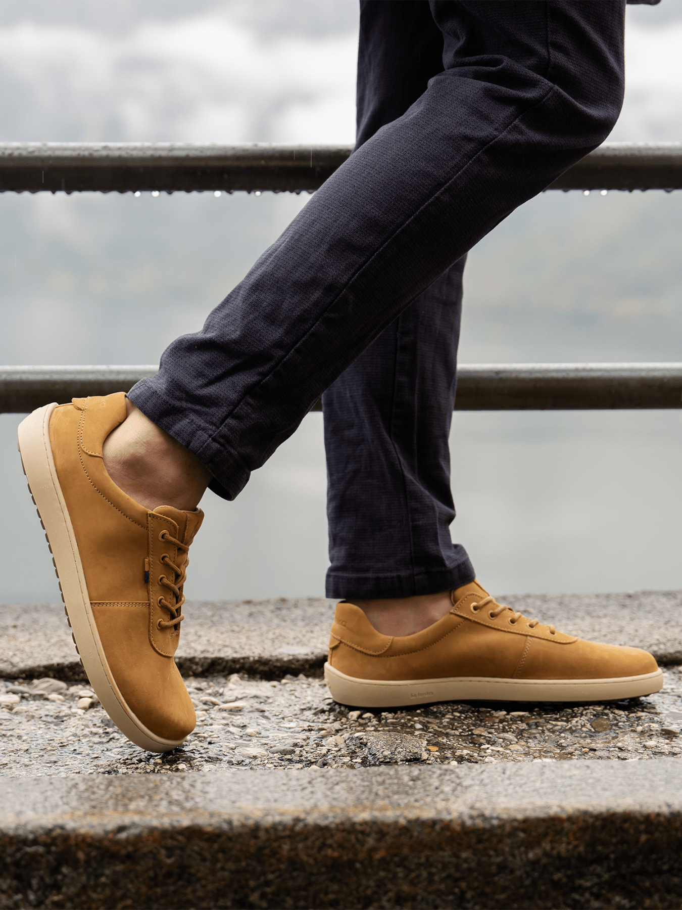 Barefoot Sneakers Be Lenka Phoenix - Camel Brown - Barefoot Shoe Store