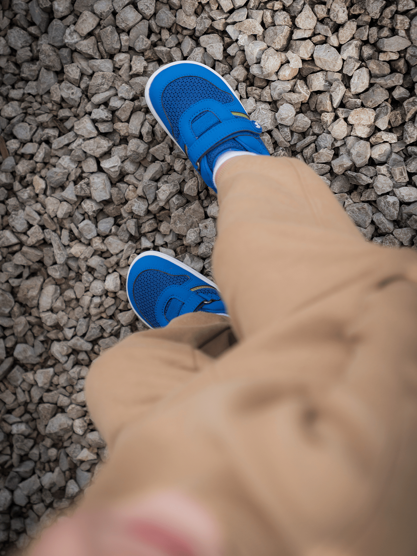 Kids Barefoot Sneakers Be Lenka Glade Preschool - Blue & Green - Barefoot Shoe Store