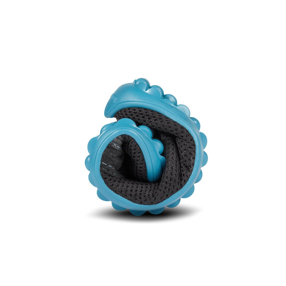 LEGUANITO ACTIVE - Anthracite, blue sole - Barefoot Shoe Store